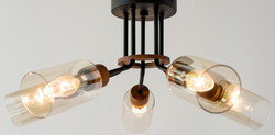 Накладная люстра Lumion 4492/5C