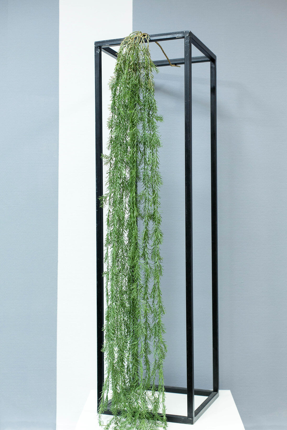 Аспарагус 175см