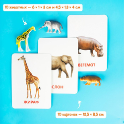Развивающий набор фигурок для детей "Дикие животные" с карточками, по методике Домана