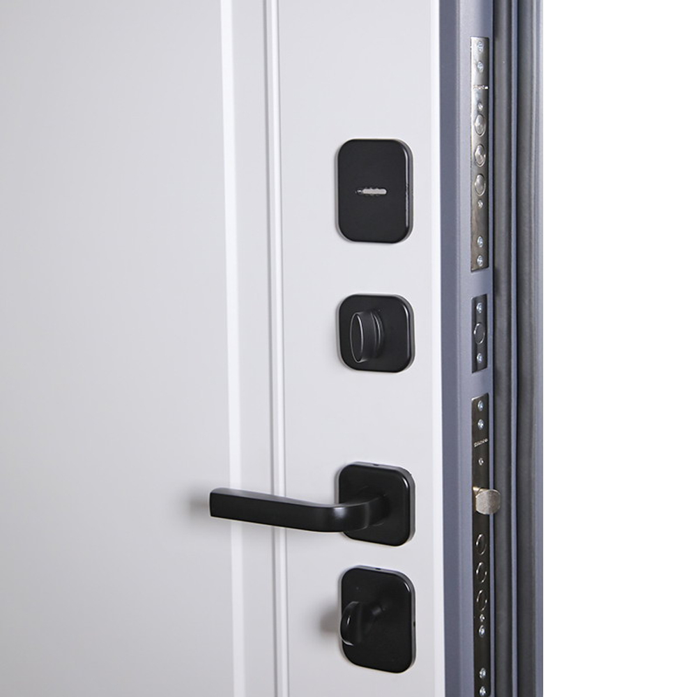 Стальная дверь "Циркон". Заказная модель.