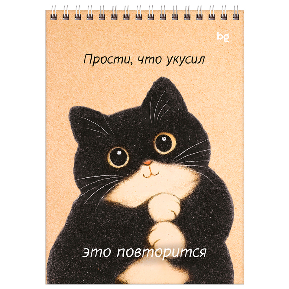 Блокнот  BG "Настроение - кот" на спирали, А5, 60 листов в клетку