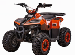 Квадроцикл Yacota Raposa