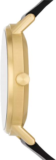 Мужские часы Skagen SKW6896