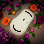 Мышь Xiaomi Mi Wireless Mouse Lite XMSMSB01YM белый