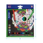 Карандаши цветные Berlingo "SuperSoft. Blackwood", 24цв., черное дерево, заточен., картон, европодве