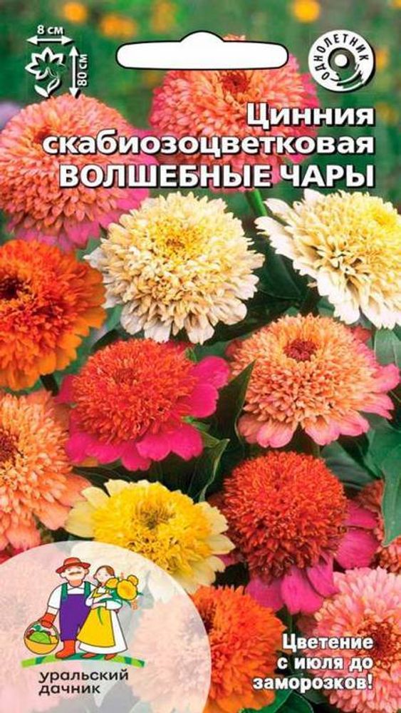 Цинния скабиозоцветковая &quot;G. Волшебные Чары&quot; 0,15г., Россия.