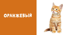 Мир вокруг меня. Цвета. Фотокнига