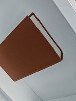 Железный король. Узница Шато-Гайара. Яд и корона