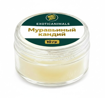 Углеводный кандий для муравьев