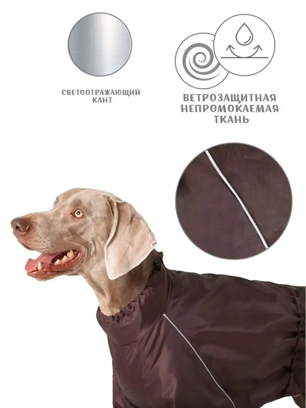 Комбинезон дождевик для собак средних и крупных пород