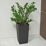 Кашпо напольное "Ротанг" 28,5*27*51,5см со вставкой (мокко)