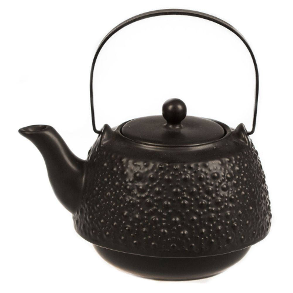 chaynik-s-metallicheskim-sitom-black-star-750-ml-p-l-proff-cuisine-lg