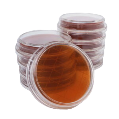 Контактные чашки Лактобактерии