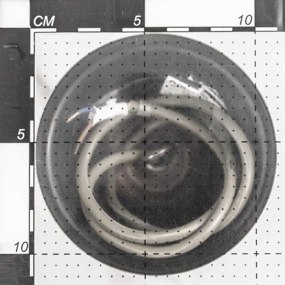 Подвесной светильник Citilux Версаль CL408113