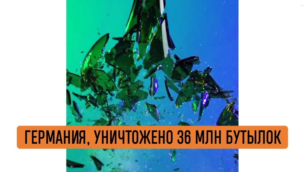 БИЗНЕС-КЕЙС: ВИННЫЙ КРИЗИС