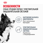 Royal Canin Medium Digestive Care Медиум Дайджестив кэа Корм сухой для взрослых собак средних размеров с чувствительным пищеварением 12кг