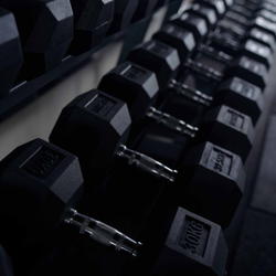 Гантель гексагональная обрезиненная PROFI-FIT 32,5 кг