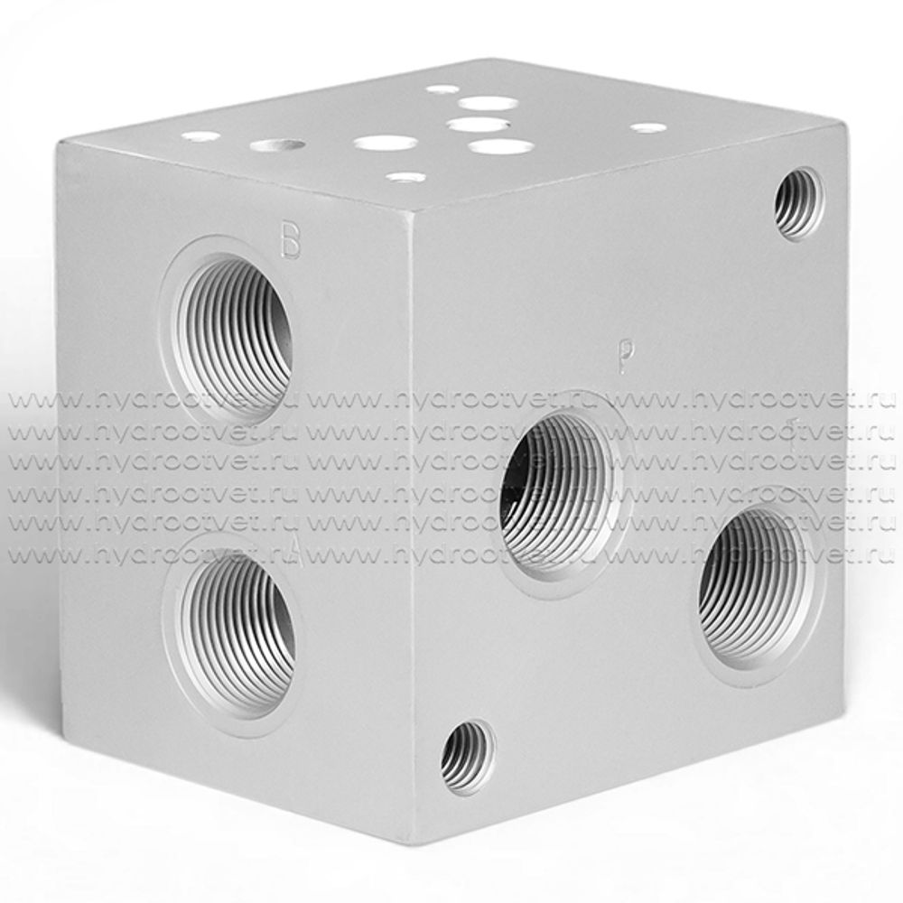 PD10-10A1