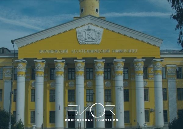 Лесотехнический университет, культурное наследие