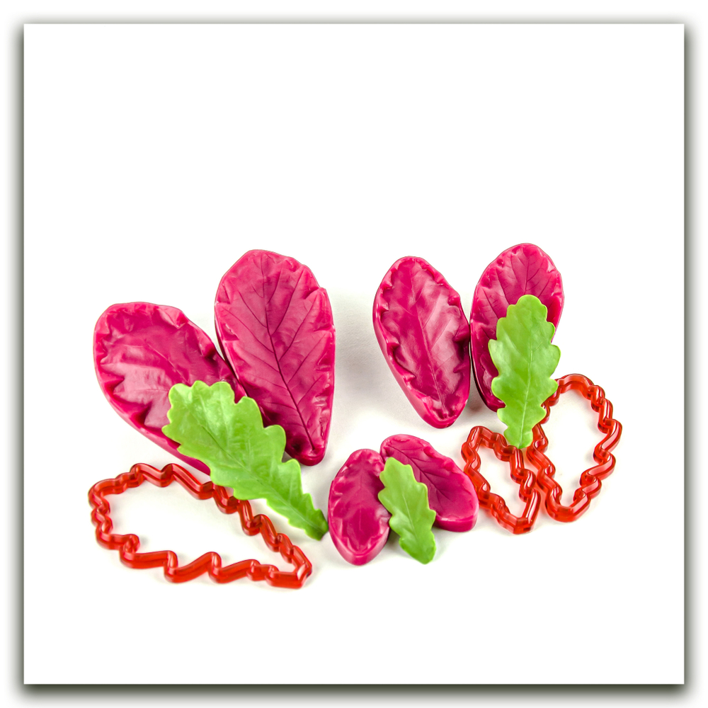 Листья дуба. Набор оптимальный