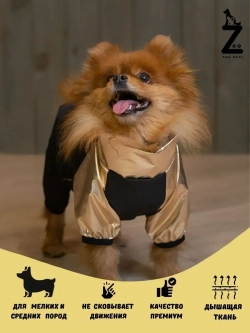 Комбинезон для мелких и средних собак