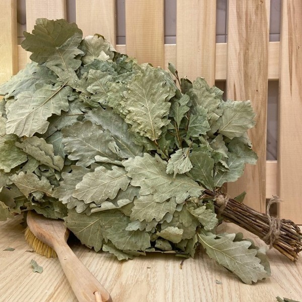 Веник дубовый «Евро» с оплеткой