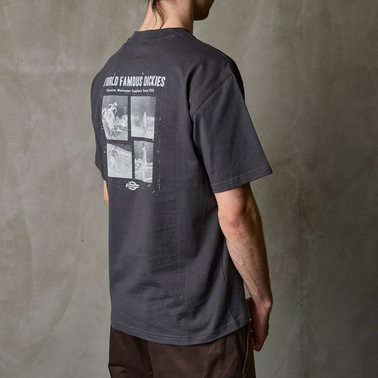 Футболка мужская Dickies Wolfhurst Short Sleeve Tee 