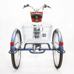 Электровелосипед Green Camel Трайк-24