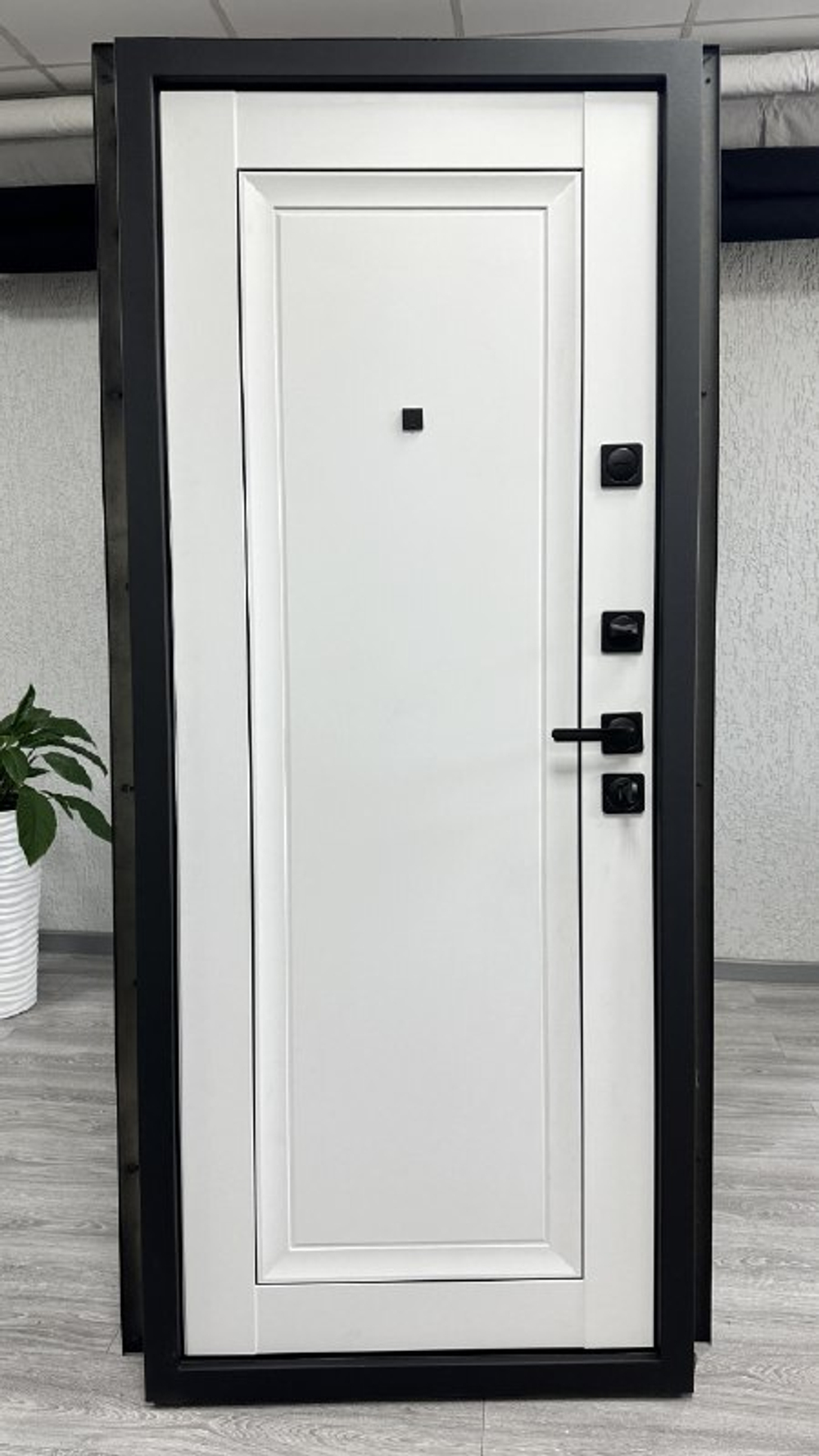 Дверь входная Альфа деканто 1