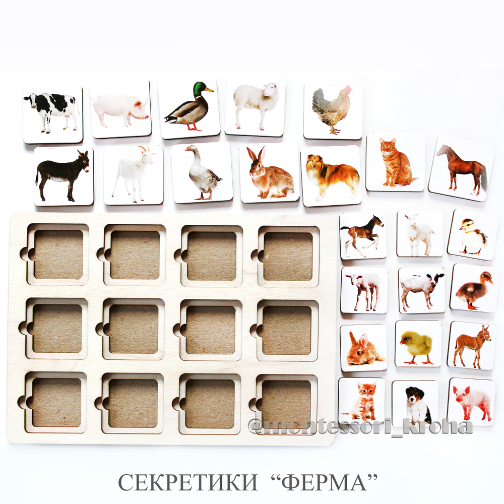 СЕКРЕТИКИ «ФЕРМА»