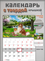 Настенный отрывной календарь "Собаки колли"