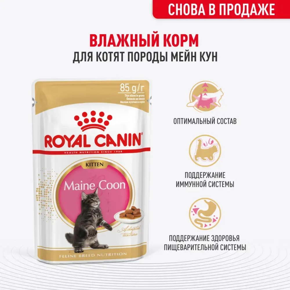 Royal canin kitten maine coon 85 г пауч влажный рацион для кошек породы мейн-кун в возрасте от 3 до 15 месяцев