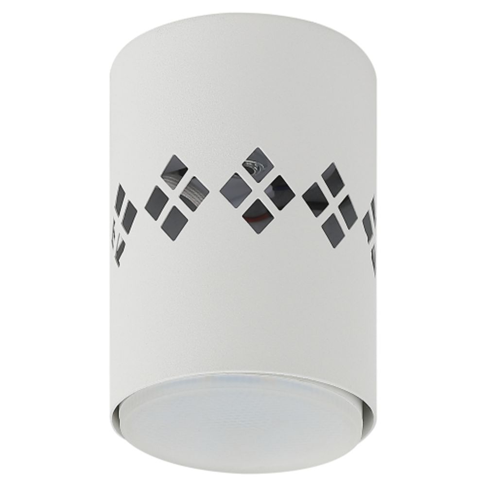 Светильник настенно-потолочный спот ЭРА OL10 LD GX53 WH белый, подсветка 1 W | Накладные светильники