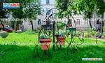 Вазон-комплекс для цветов