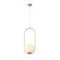 Подвесной светильник ST Luce Penolo SL1118.203.01
