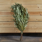 Веник эвкалиптовый_2.jpg