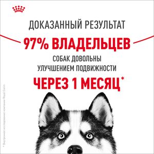 Сухой корм Royal Canin Maxi Joint Care для взрослых собак крупных размеров с повышенной чувствительностью суставов