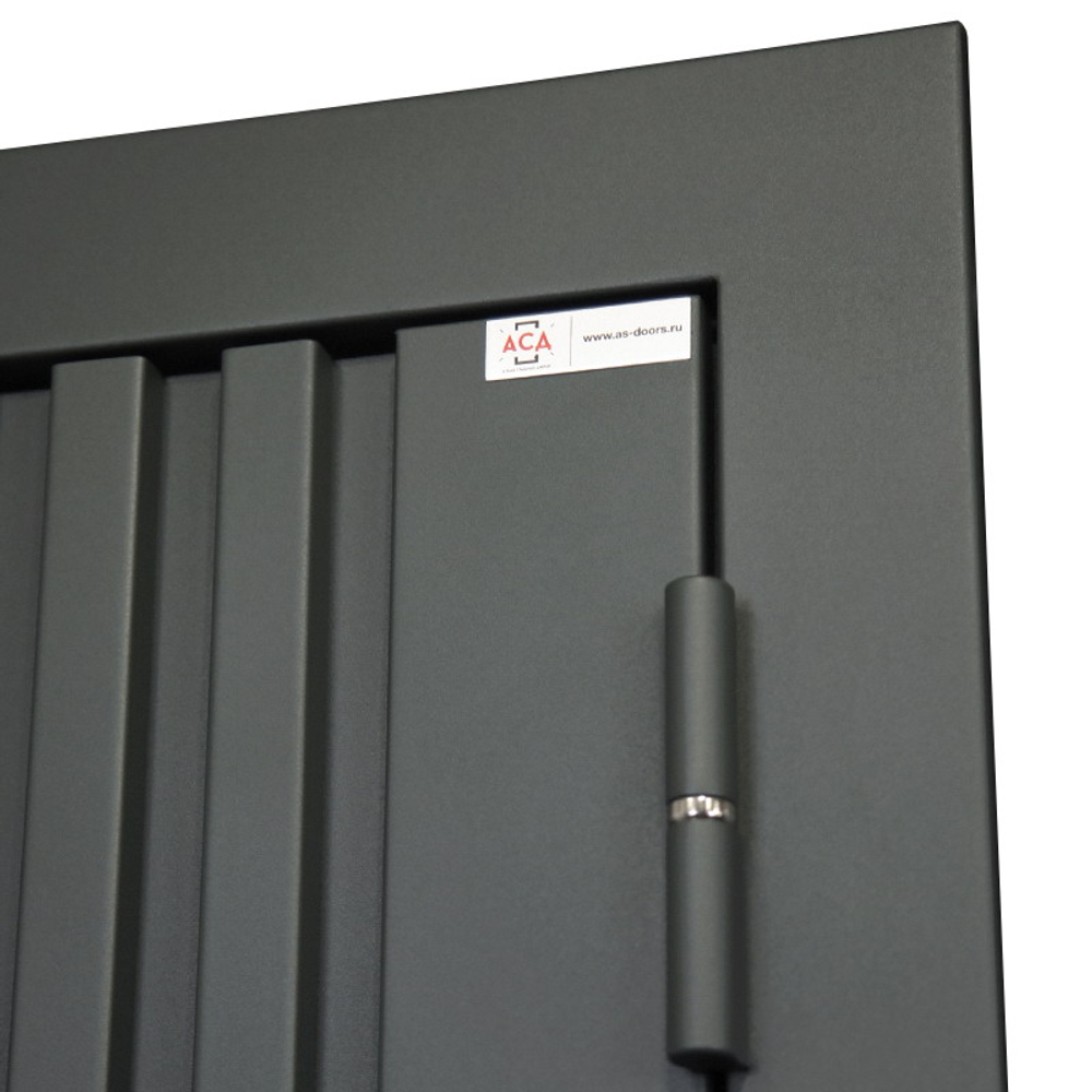 Стальная дверь "Барс" с окном (терморазрыв 3к). Заказная модель.