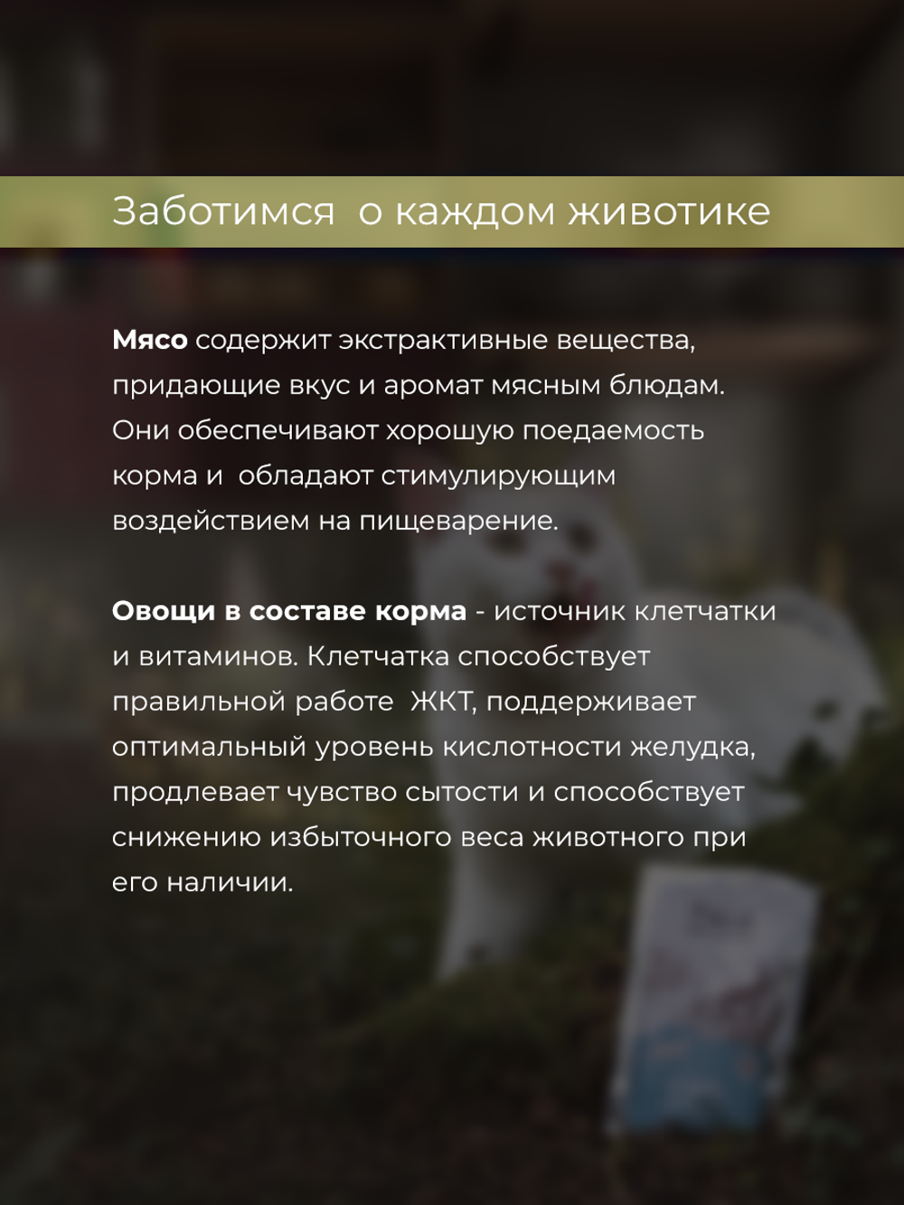 НАБОР Консервы DELISH Super Premium для кошек, курица/овощи/клюква - 10 шт х 80 гр