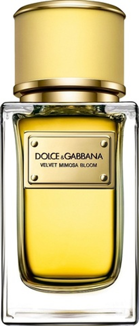 Dolce&Gabbana Velvet Mimosa Bloom