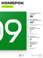 Номер на дверь 309, табличка на дверь для офиса, квартиры, кабинета, аудитории, склада, зеленая 120х70 мм, Айдентика Технолоджи