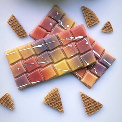 223 | Форма для шоколадных изделий (275*175 мм)