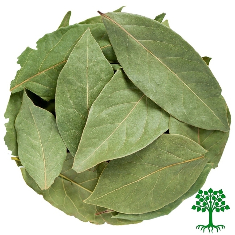 Лавровый лист целый сепарированный