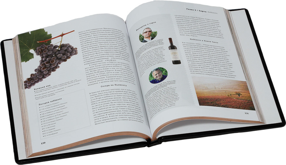 Просто о лучших винах