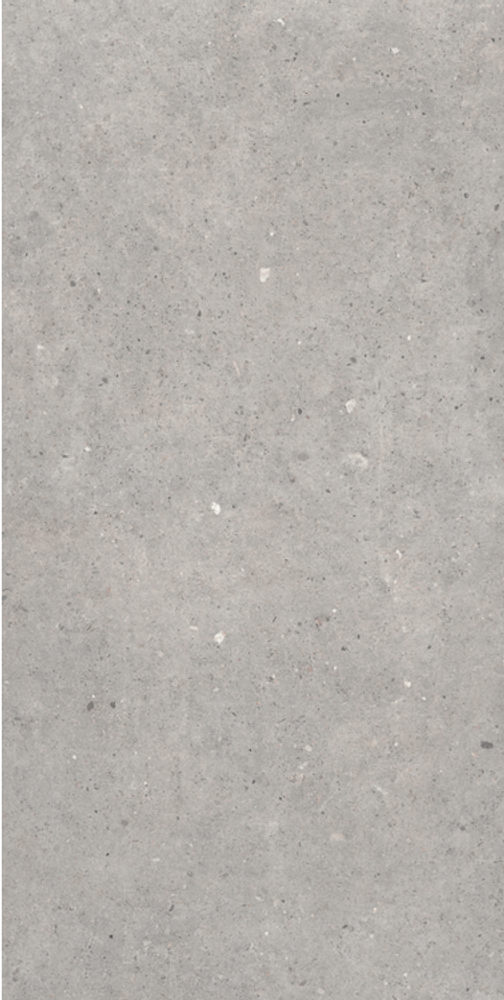 Sanchis Home Cement Stone Grey 60x120