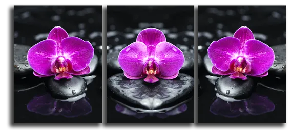 Модульная картина "Фиолетовые орхидеи"