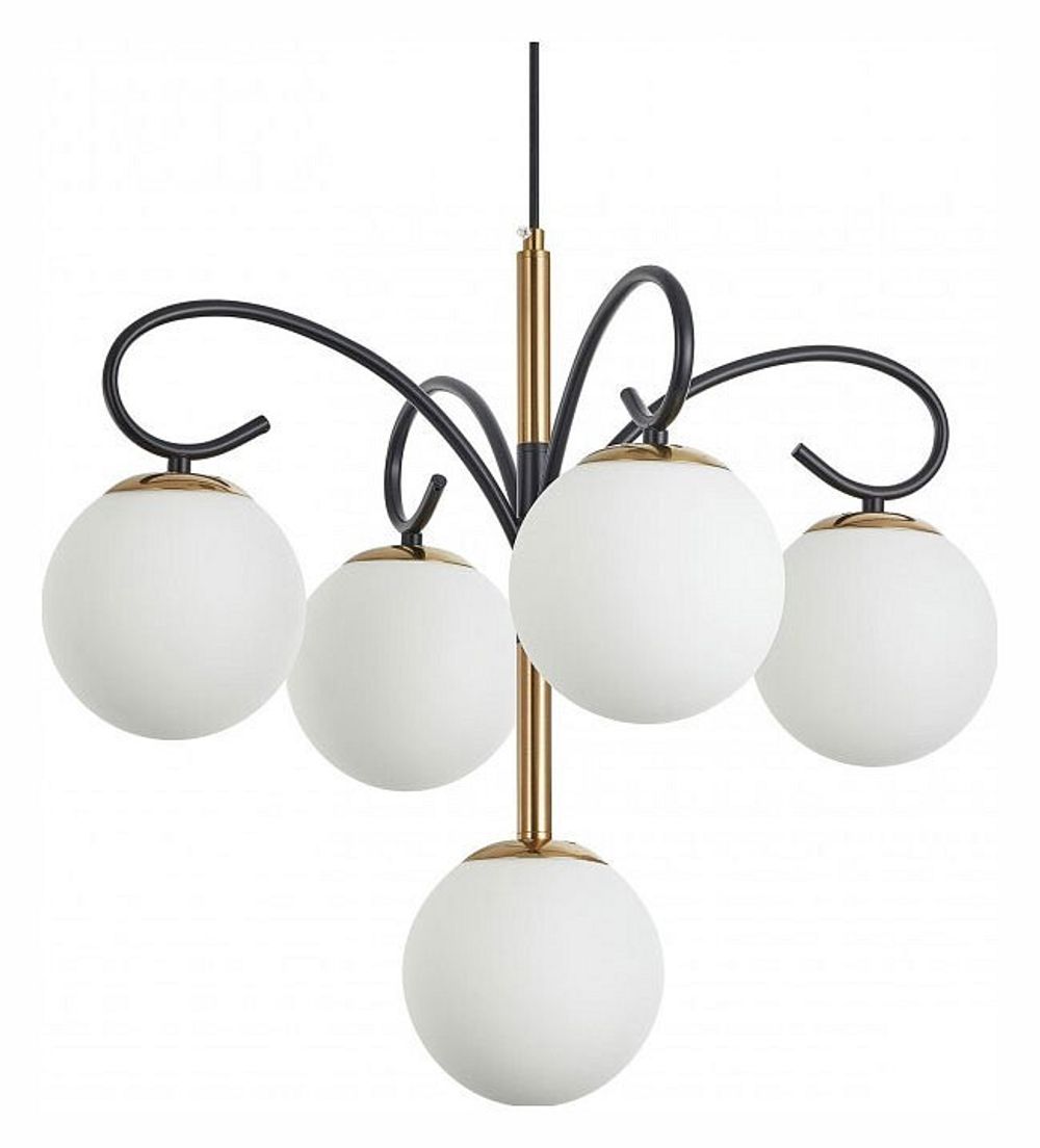 Подвесная люстра Arte Milano Neapolis-73808 273808/4+1 BK/GD