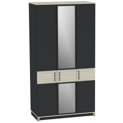 Шкаф для одежды и белья Аурелио 444, Антрацит, Блеквуд Сатиновый