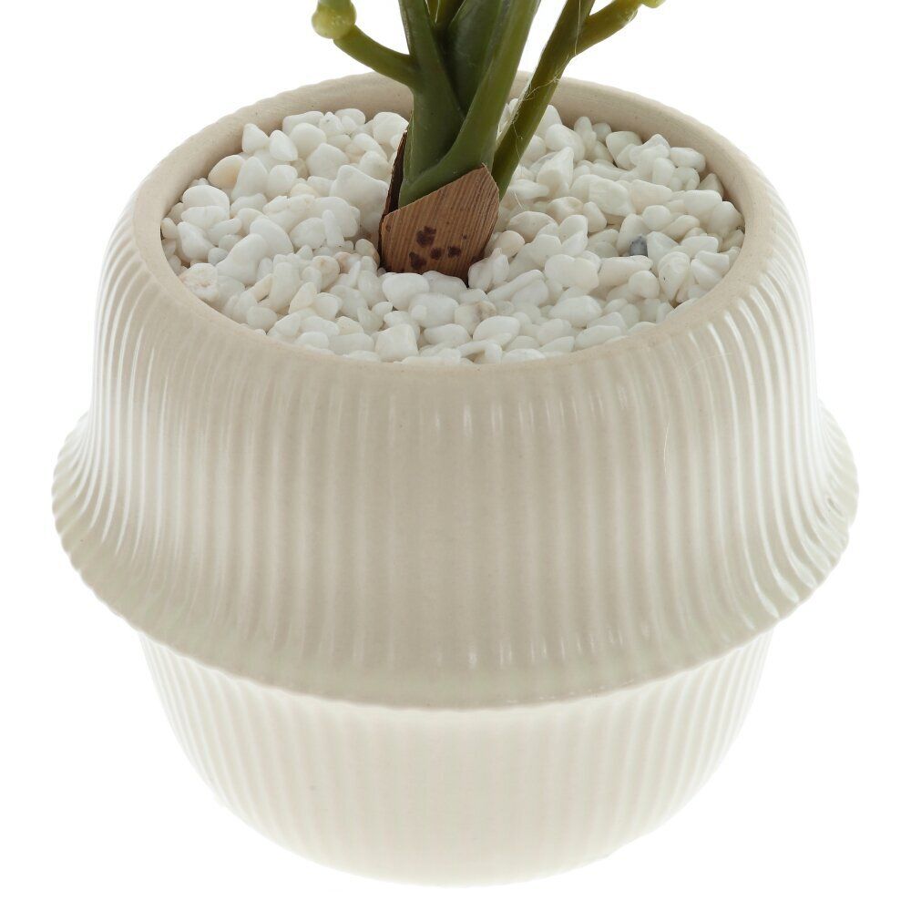 GAEM Цветочная композиция "Каладиум", L20 W20 H21 см