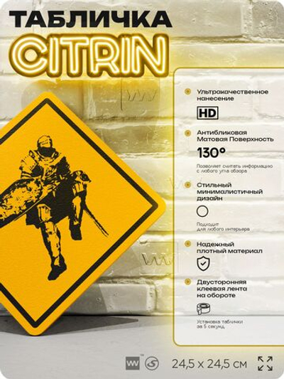 Табличка декоративная "Оскар из Асторы, Dark Souls" на дверь и стену, прикольная штука в подарок геймеру, декоративный знак, 24,5х24,5 см, Айдентика Технолоджи